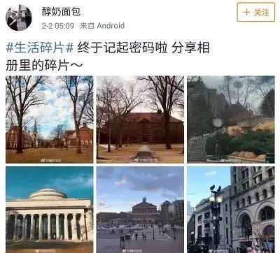 伪装MIT学霸,Ins盗图发博,求求这位戏精妹子别再给留学生招黑了