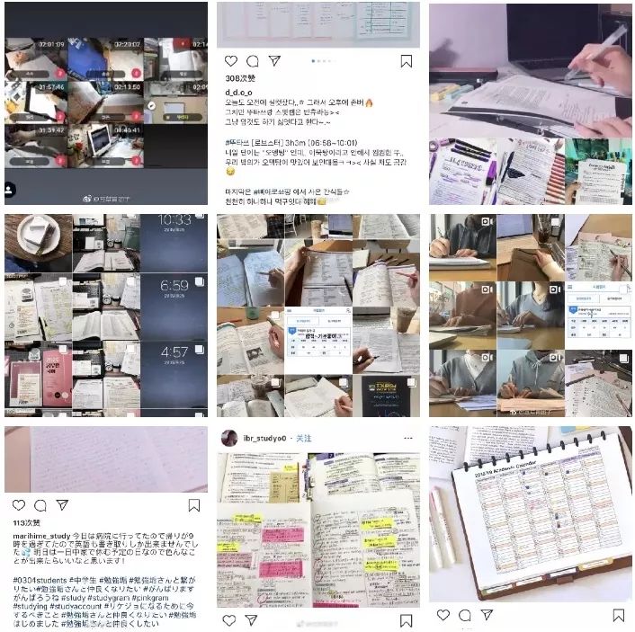 伪装MIT学霸,Ins盗图发博,求求这位戏精妹子别再给留学生招黑了