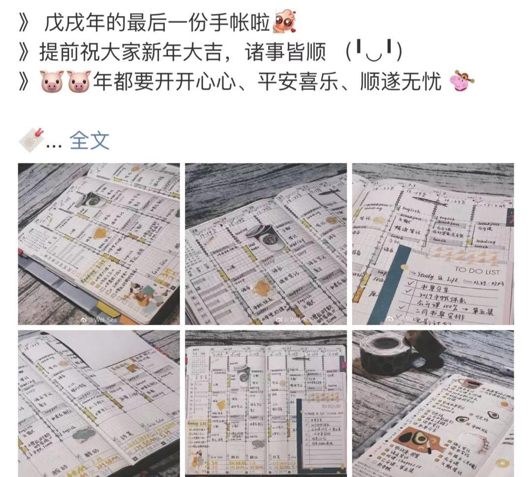 伪装MIT学霸,Ins盗图发博,求求这位戏精妹子别再给留学生招黑了
