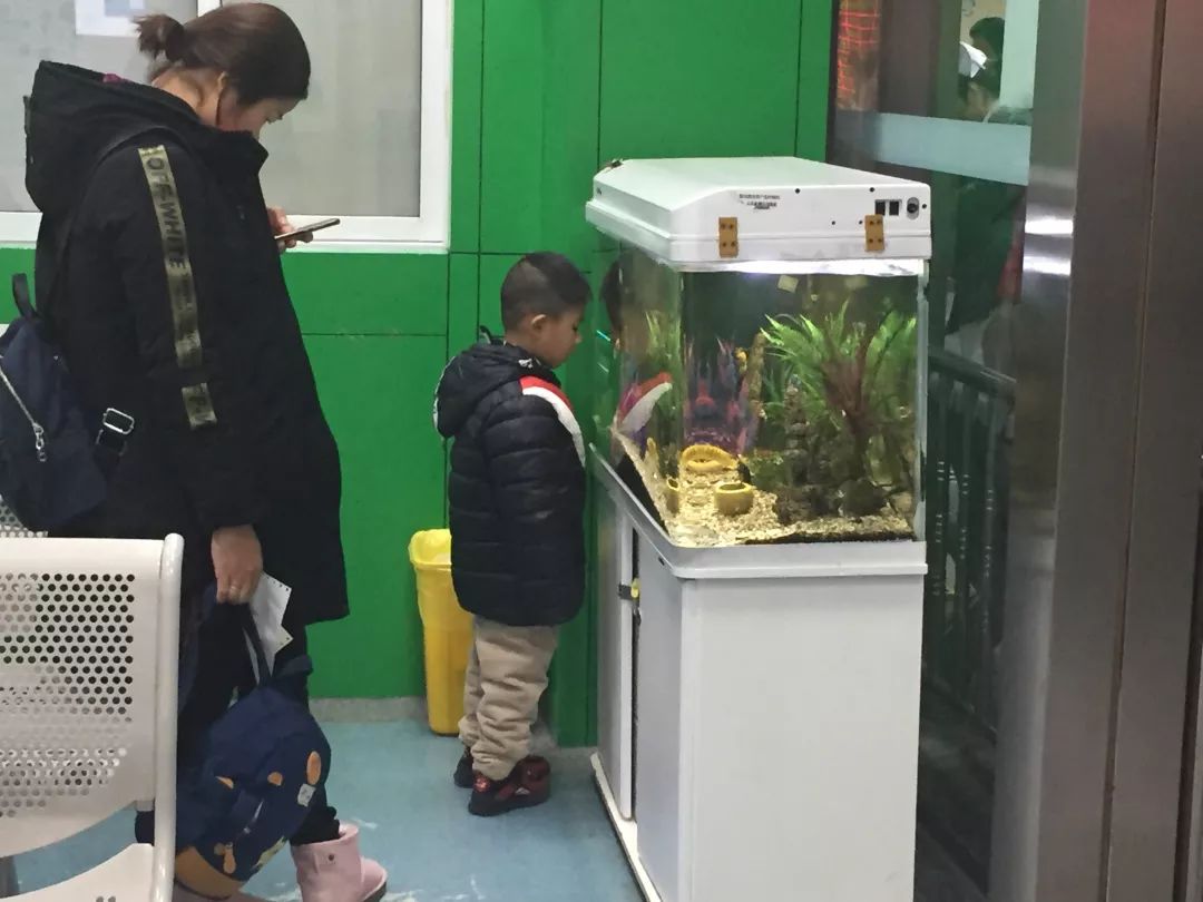 省妇幼特需,省妇幼服务怎样