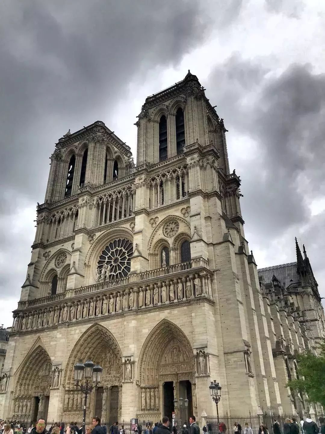 戛纳国际电影节2019,戛纳国际电影节2019年