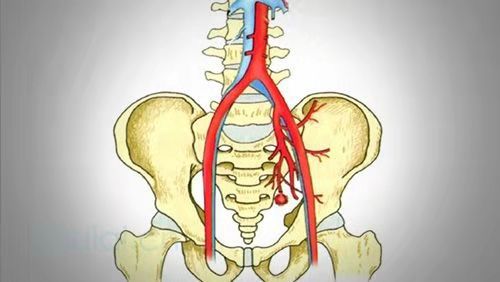 女人骨盆移位怎么办,女性骨盆倾斜怎么治疗
