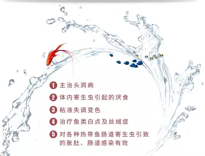 怎么防止鱼得肠炎,解决鱼肠炎的老方法