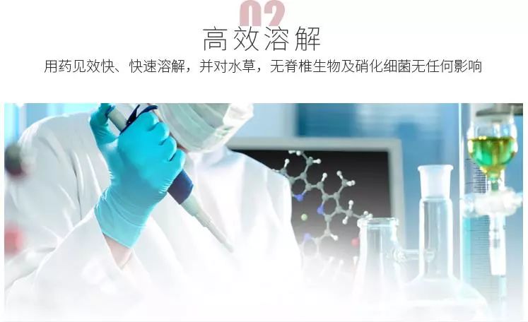 怎么防止鱼得肠炎,解决鱼肠炎的老方法