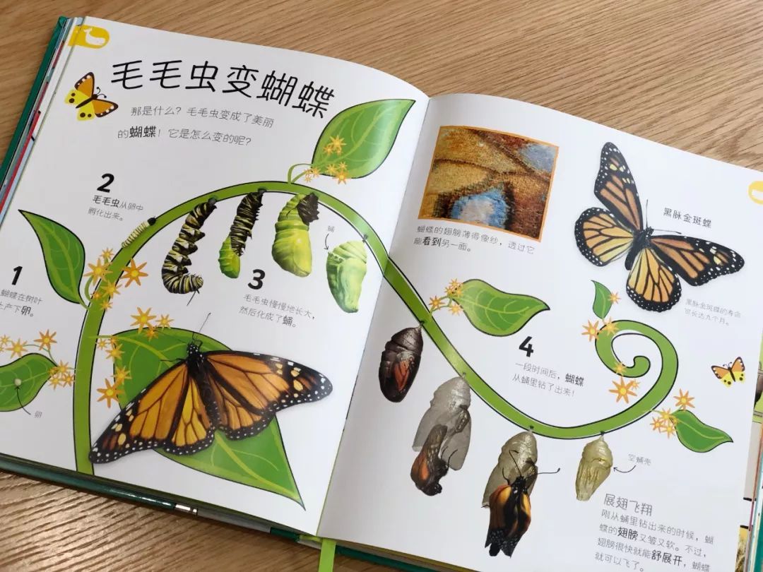 现在的孩子真是不知道怎么想的,现在的孩子真的是脑洞大开