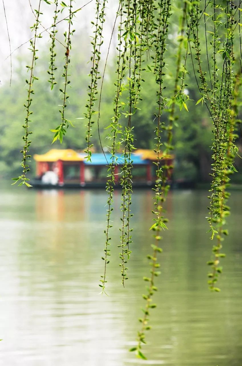 12月去哪里旅游机票最便宜又好玩,2021年三月份去厦门机票