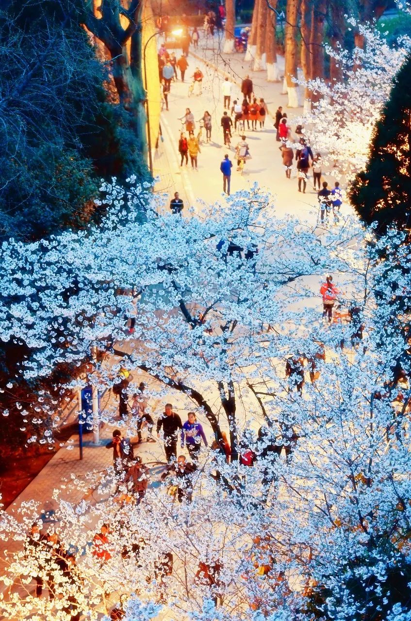 12月去哪里旅游机票最便宜又好玩,2021年三月份去厦门机票