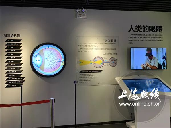 魔都100｜你会挑眼镜吗？镜架呢？眼睛的秘密都藏在这里了！