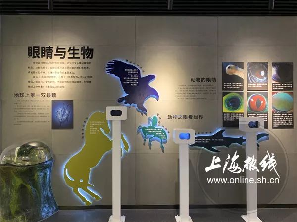 魔都100｜你会挑眼镜吗？镜架呢？眼睛的秘密都藏在这里了！