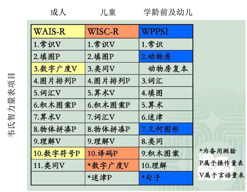 别人家的孩子更聪明？认识智力和智力障碍疾病……