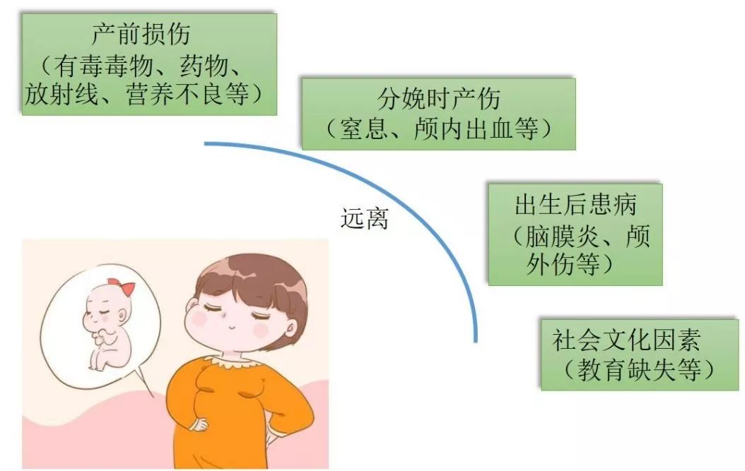 别人家的孩子更聪明？认识智力和智力障碍疾病……
