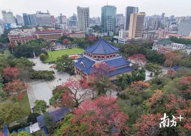 广东强对流天气回南天,广东天气预报最新雾天