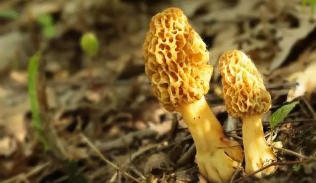 广东强对流天气回南天,广东天气预报最新雾天