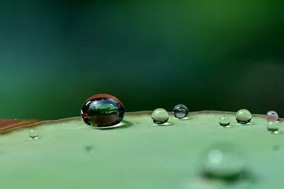 英国皇室伞,英国皇室御用伞