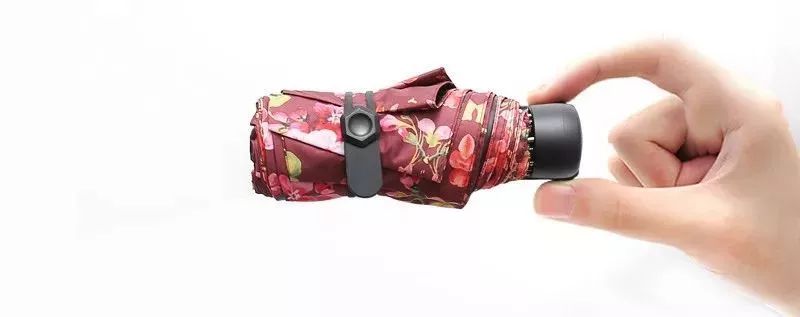 英国皇室伞,英国皇室御用伞