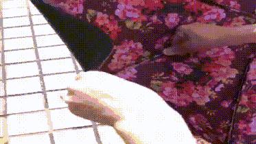 英国皇室伞,英国皇室御用伞