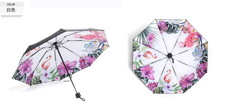 英国皇室伞,英国皇室御用伞