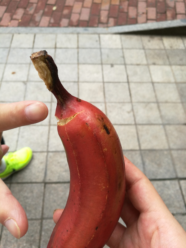 厦门三日游美食推荐,厦门海边美食推荐