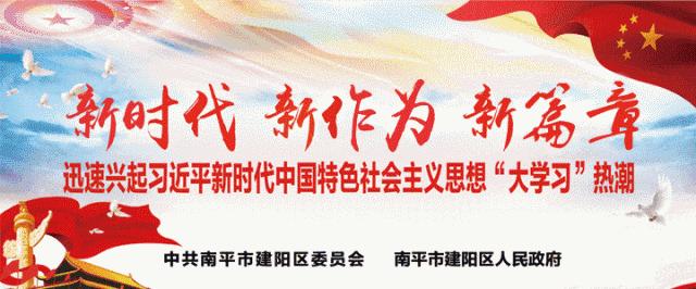 王宏甲,王宏甲历史记录