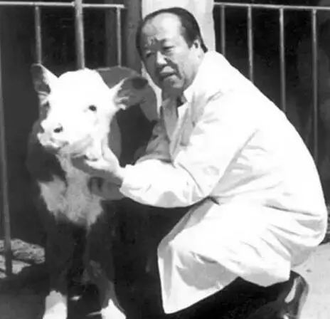 作为内蒙人，山羊这么牛的生物，竟然不了解？