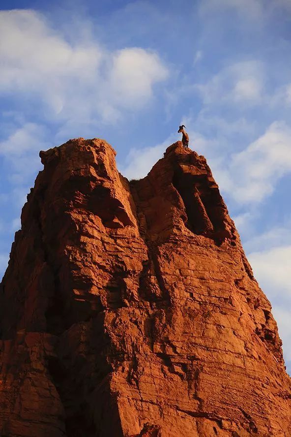 作为内蒙人，山羊这么牛的生物，竟然不了解？