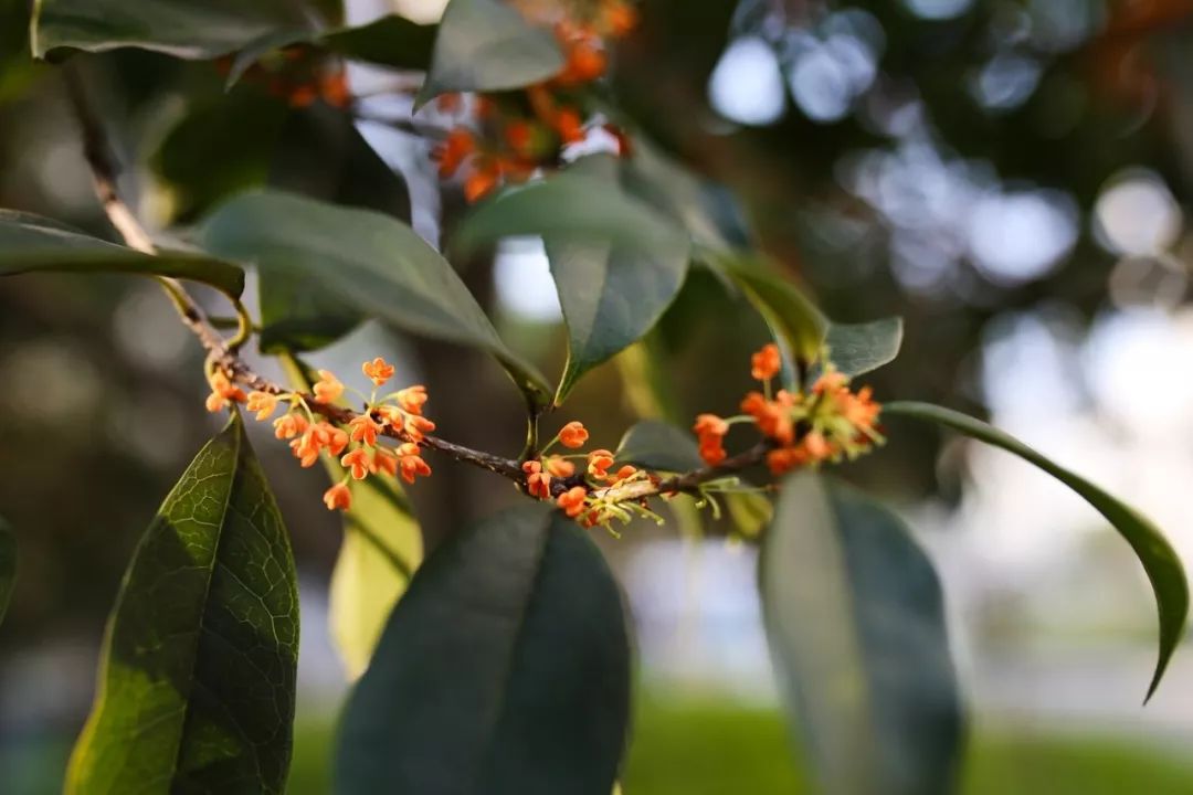 高考倒计时100天在一本线徘徊,高考倒计时100天老师发言