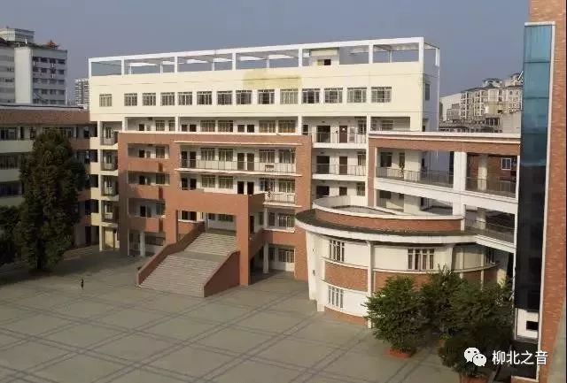 深化内涵、团结协作,十五中力争打造联盟办学领跑柳北教育的“好样版”