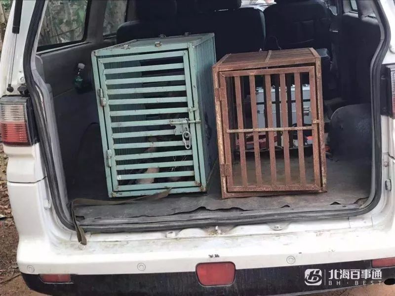 北海2岁男童走失家人情况,北海失踪儿童小杰最新进展