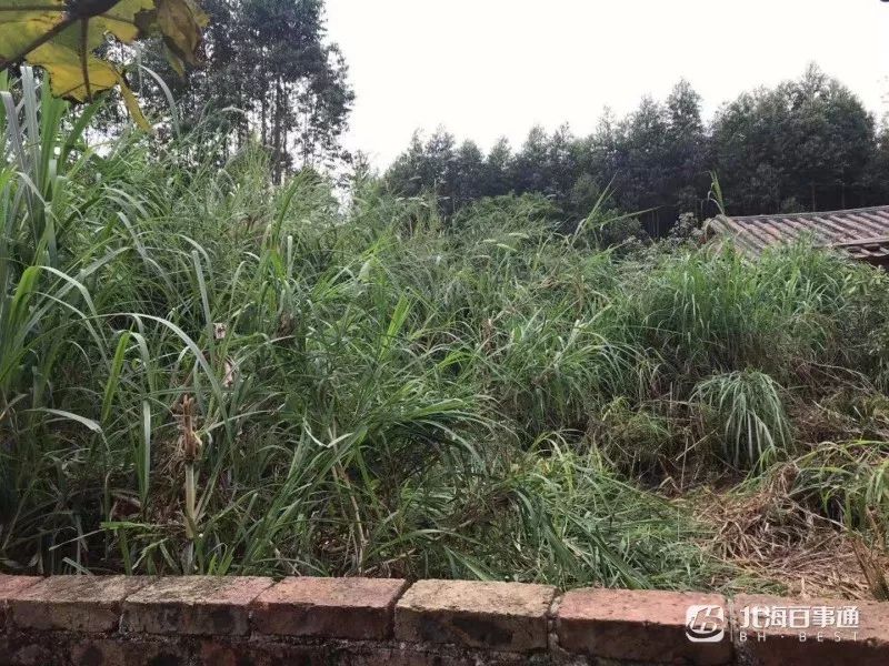 北海2岁男童走失家人情况,北海失踪儿童小杰最新进展