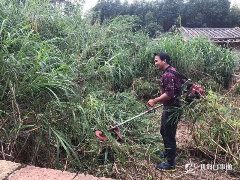 北海2岁男童走失家人情况,北海失踪儿童小杰最新进展