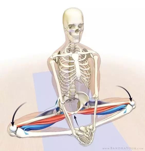 束角式做不了是什么原因,束角式一边膝盖下不去