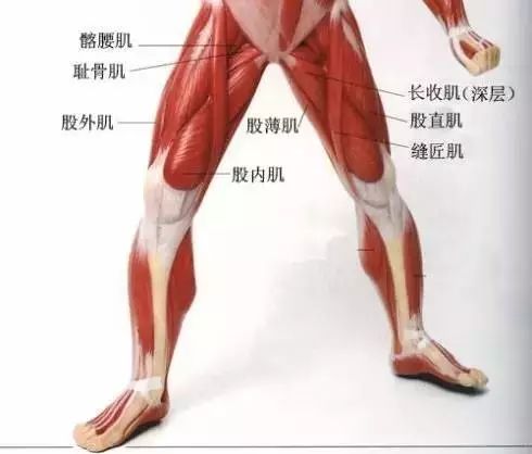 束角式做不了是什么原因,束角式一边膝盖下不去