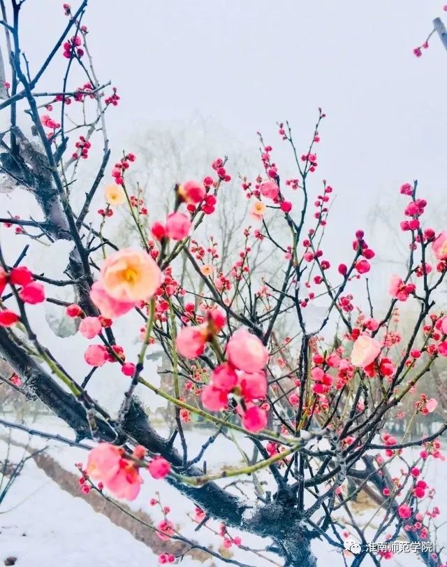 叮！开学第一周的淮师和淮师er等你签收！