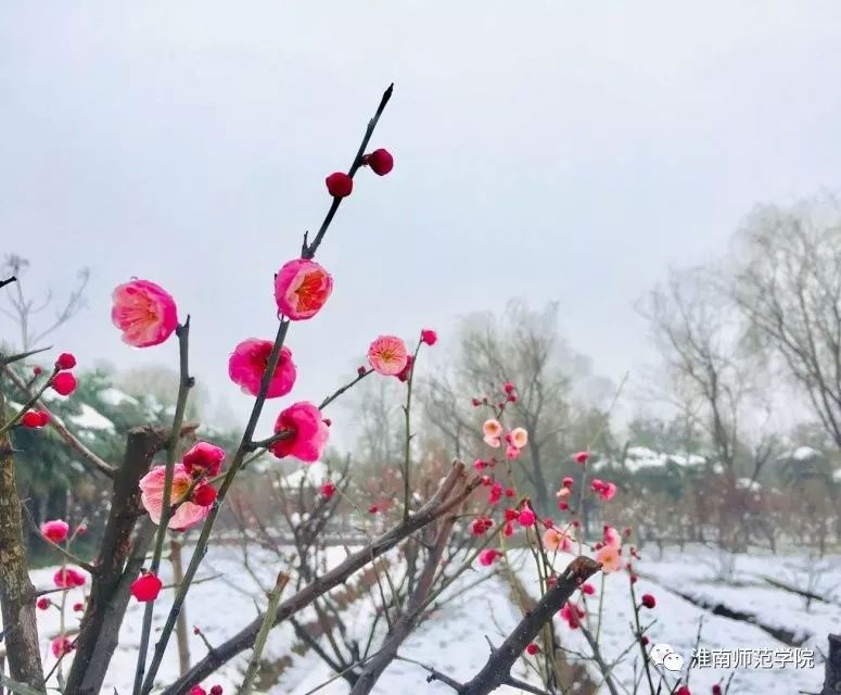 叮！开学第一周的淮师和淮师er等你签收！