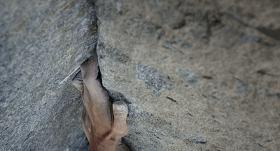 值得一看的豆瓣9.0,豆瓣9.9以上评分