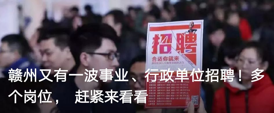 买衣服一定要看吊牌,买衣服不要只看价格不看质量