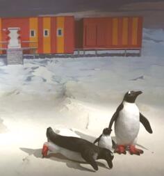 博物馆奇妙之旅免费观看,博物馆里的奇妙之旅