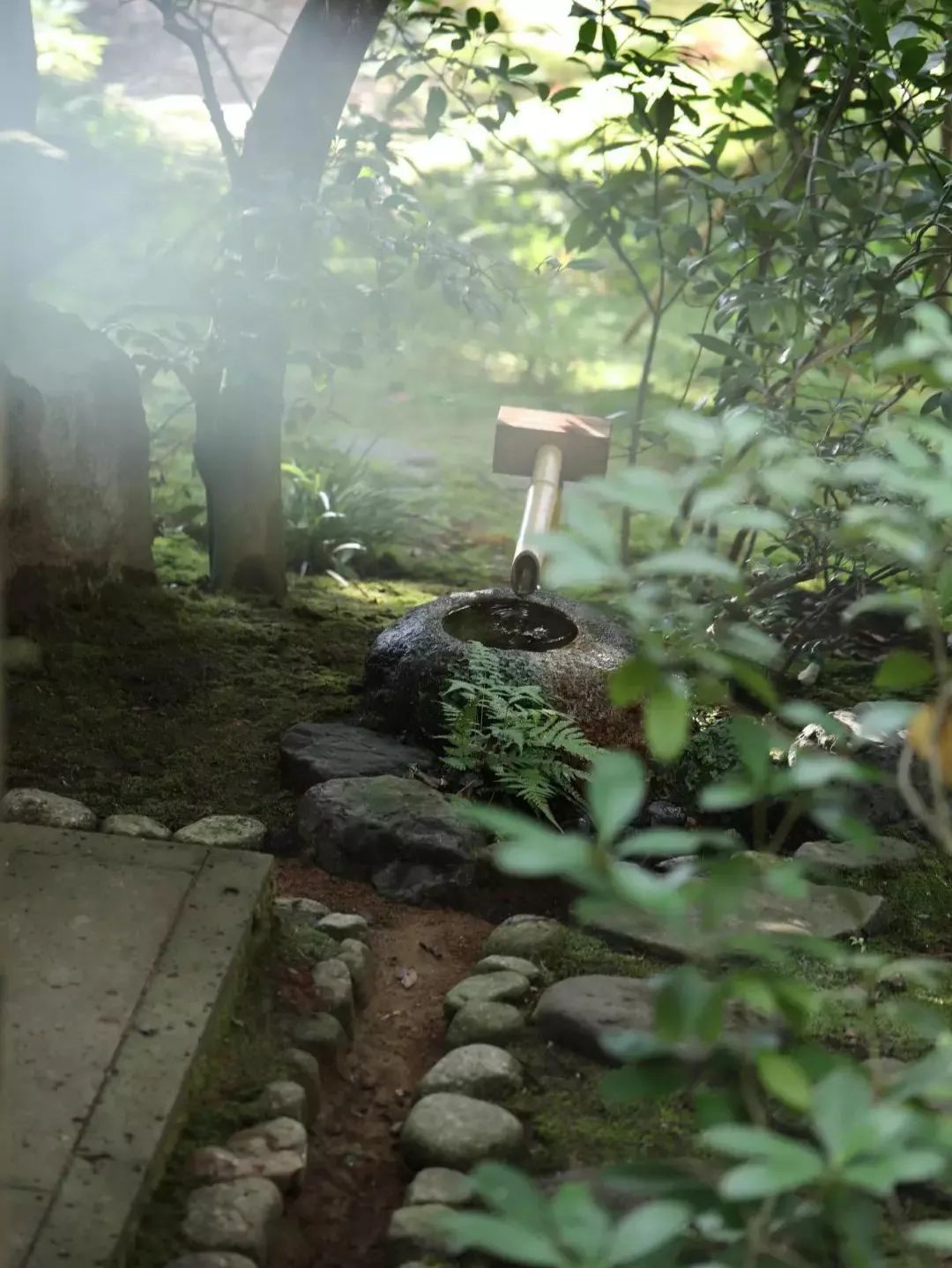 九州福冈樱花,九州樱花季旅游