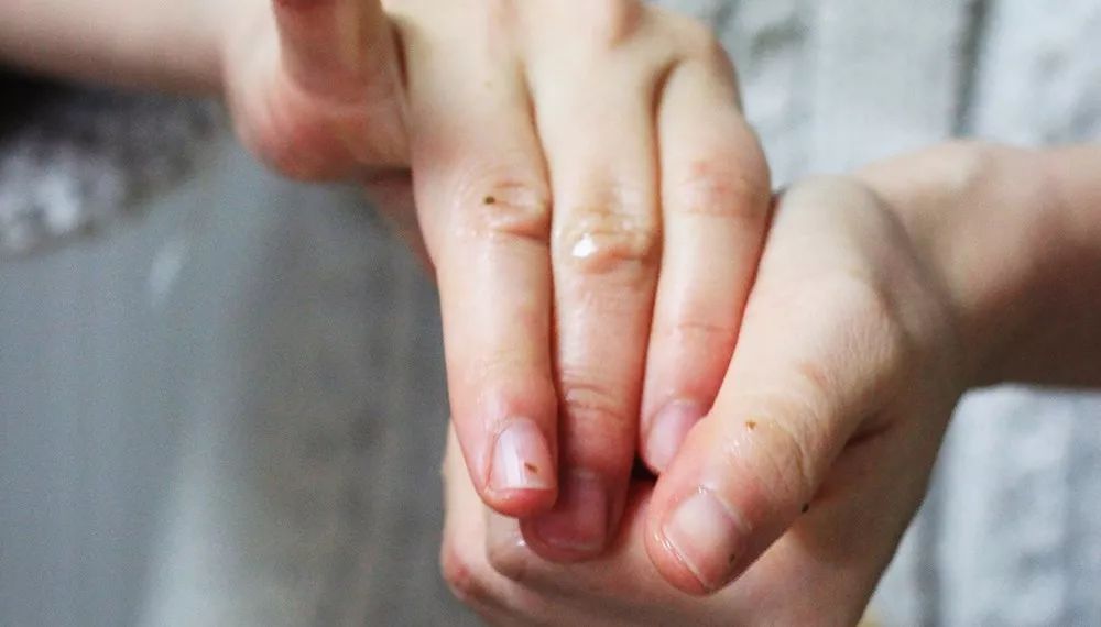 九州福冈樱花,九州樱花季旅游