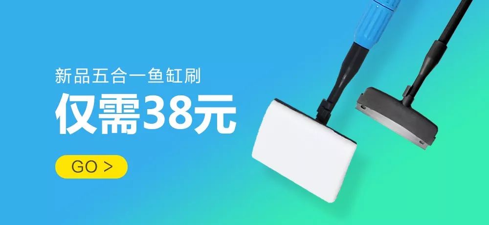 海缸可以养哪些生物,海缸要养哪些生物