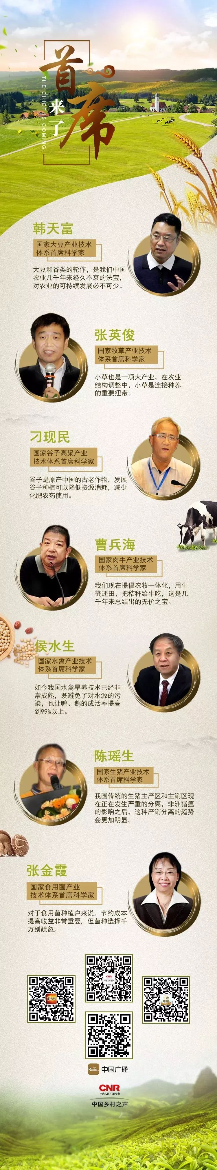 高效肉牛养殖技术有哪些,肉牛养殖怎样才能挣钱