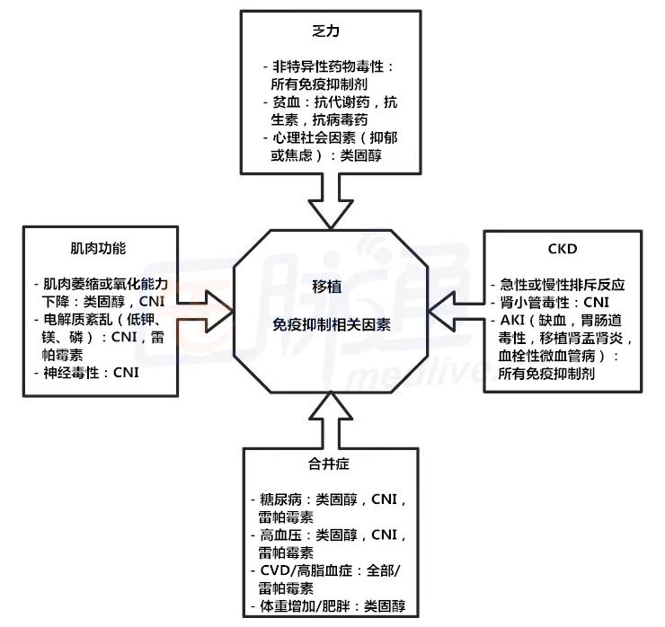 肾移植三个月后每天运动多久合适,肾移植适合做什么运动