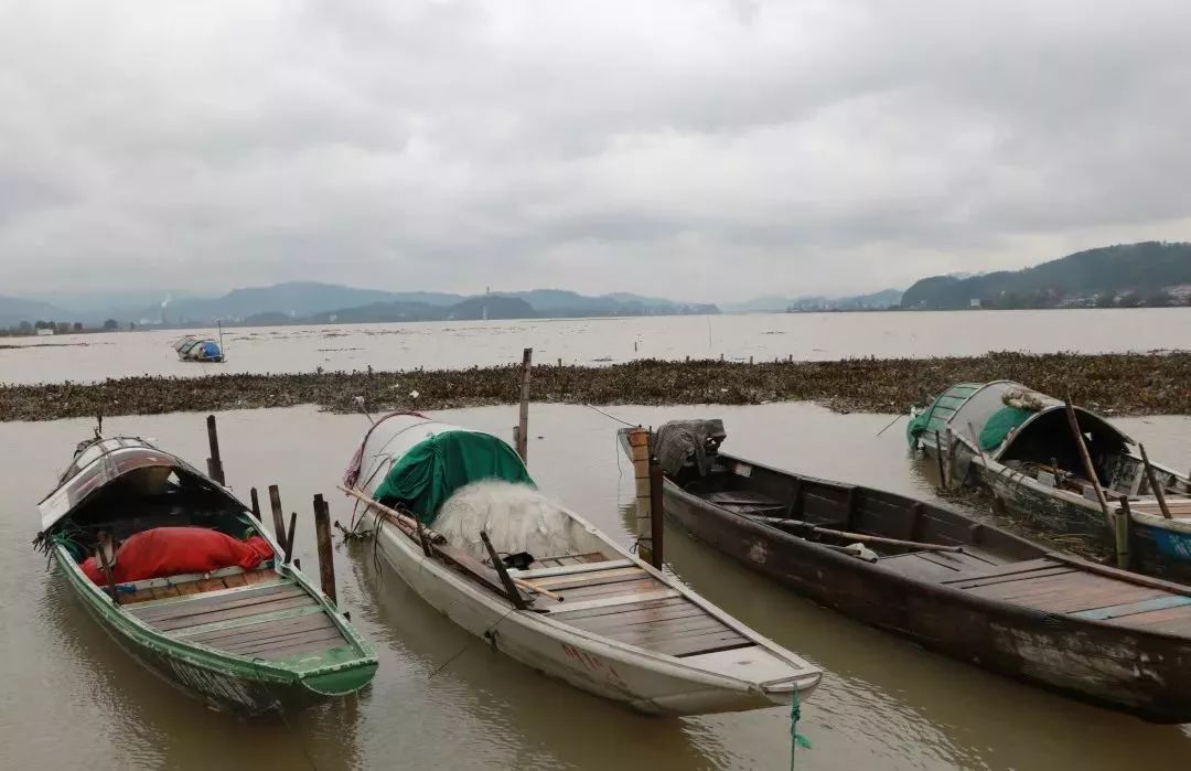 鎸傜綉鎹曢奔鐨勬纭柟娉曞拰姝ラ璇︾粏,鎹曢奔鎸傜綉鐨勬纭柟娉曞拰姝ラ璇︾粏