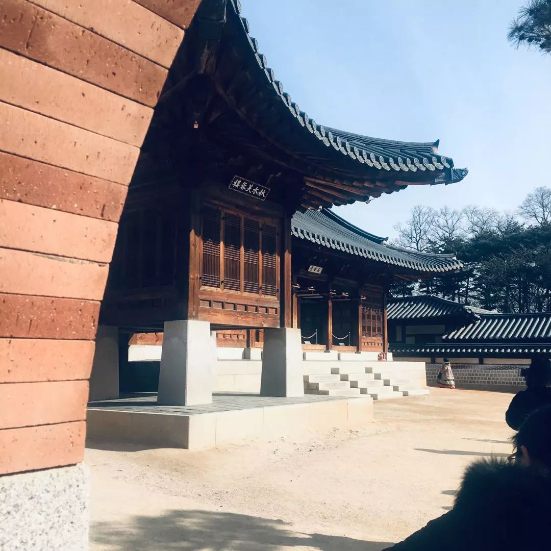 韩国旅游购物必买零食,韩国购物值得买的吃的