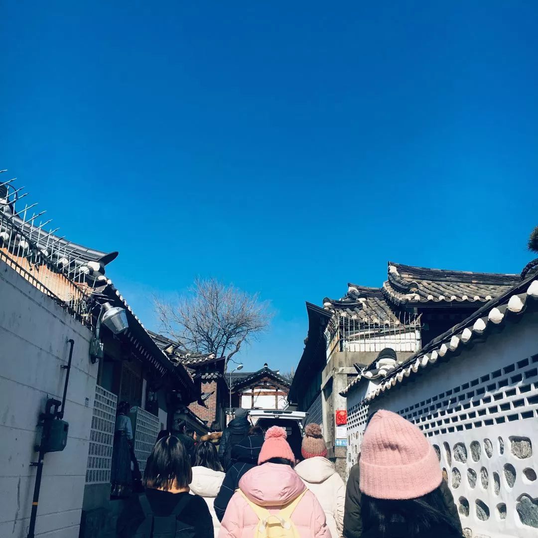 韩国旅游购物必买零食,韩国购物值得买的吃的