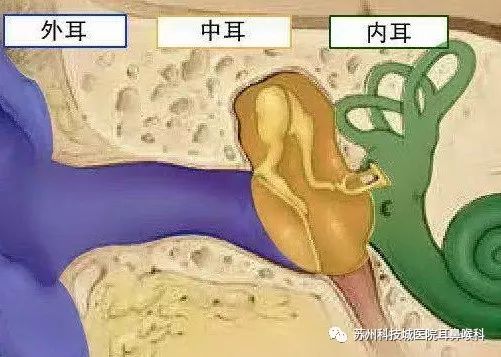 声导抗检测报告怎么看,声导抗测试报告中mep多少正常