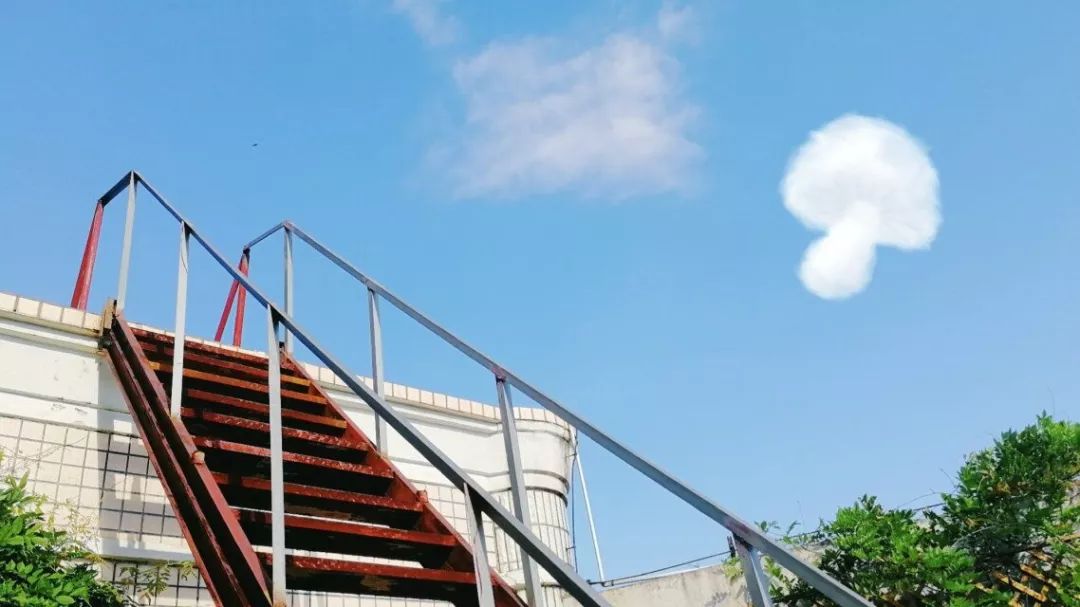 “宝藏”男孩江工登场！单招的小伙伴们快来报名发掘吧！