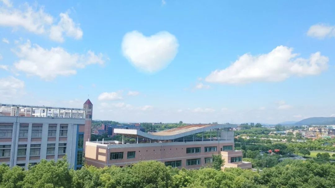 “宝藏”男孩江工登场！单招的小伙伴们快来报名发掘吧！