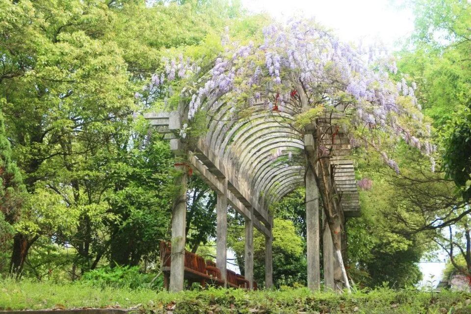 “宝藏”男孩江工登场！单招的小伙伴们快来报名发掘吧！