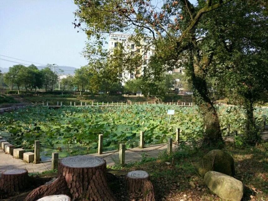 “宝藏”男孩江工登场！单招的小伙伴们快来报名发掘吧！